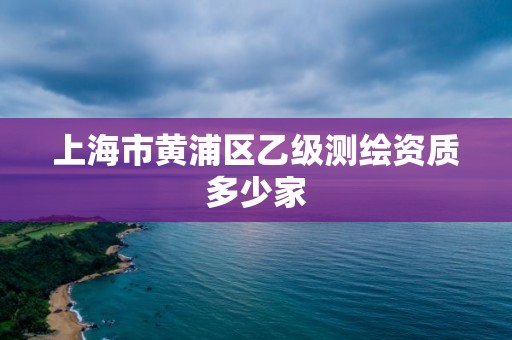 上海市黄浦区乙级测绘资质多少家