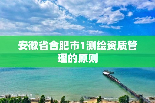 安徽省合肥市1测绘资质管理的原则