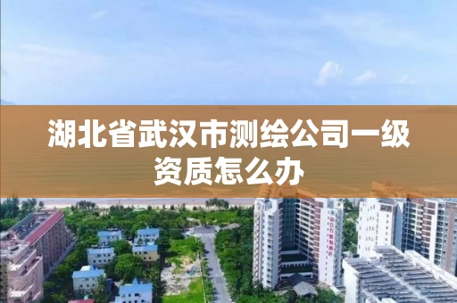 湖北省武汉市测绘公司一级资质怎么办 湖北省武汉市测绘公司一级资质怎么办