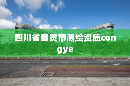 四川省自贡市测绘资质congye