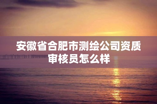 安徽省合肥市测绘公司资质审核员怎么样