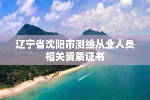 辽宁省沈阳市测绘从业人员相关资质证书