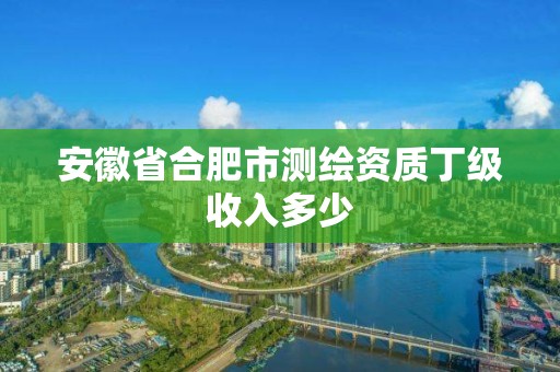 安徽省合肥市测绘资质丁级收入多少