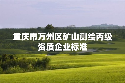 重庆市万州区矿山测绘丙级资质企业标准