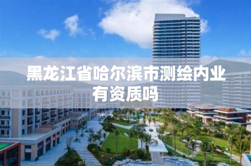 黑龙江省哈尔滨市测绘内业有资质吗