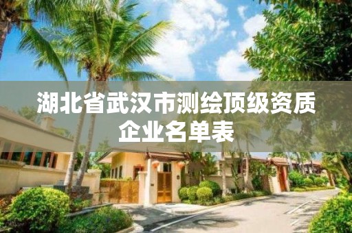 湖北省武汉市测绘顶级资质企业名单表