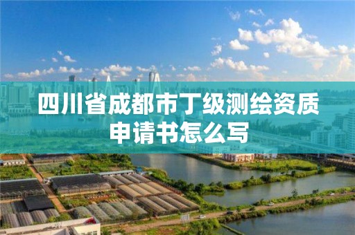 四川省成都市丁级测绘资质申请书怎么写