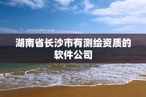 湖南省长沙市有测绘资质的软件公司