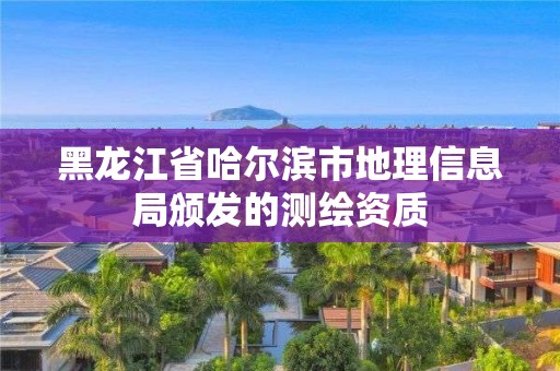 黑龙江省哈尔滨市地理信息局颁发的测绘资质