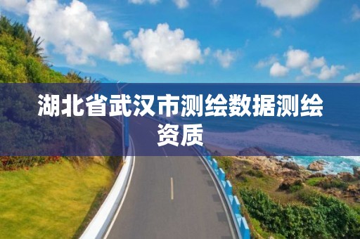 湖北省武汉市测绘数据测绘资质