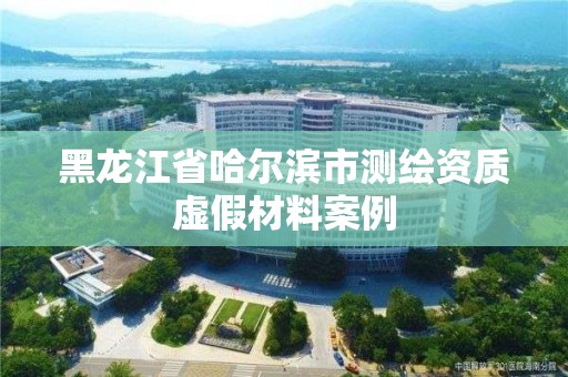 黑龙江省哈尔滨市测绘资质虚假材料案例