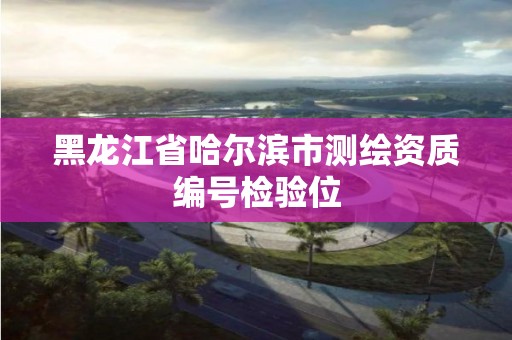 黑龙江省哈尔滨市测绘资质编号检验位