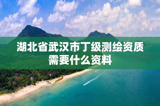 湖北省武汉市丁级测绘资质需要什么资料