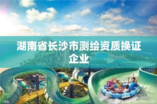 湖南省长沙市测绘资质换证企业