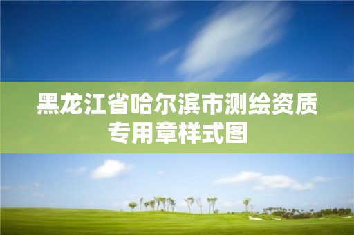 黑龙江省哈尔滨市测绘资质专用章样式图