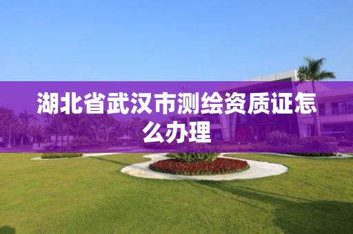 湖北省武汉市测绘资质证怎么办理