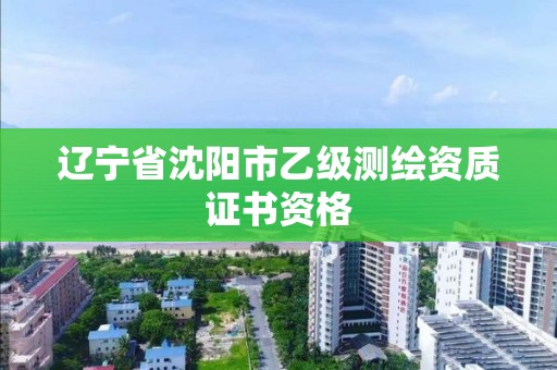 辽宁省沈阳市乙级测绘资质证书资格