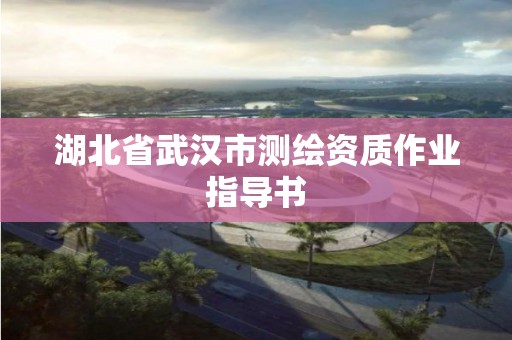 湖北省武汉市测绘资质作业指导书