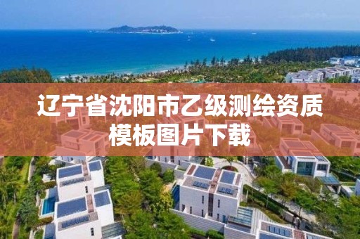 辽宁省沈阳市乙级测绘资质模板图片下载