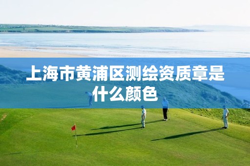 上海市黄浦区测绘资质章是什么颜色