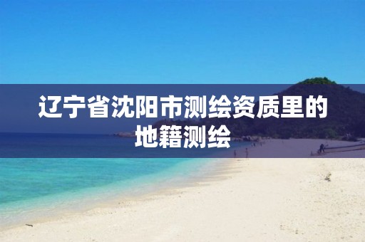 辽宁省沈阳市测绘资质里的地籍测绘