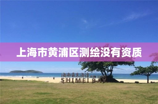 上海市黄浦区测绘没有资质 上海市黄浦区测绘没有资质