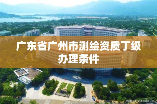 广东省广州市测绘资质丁级办理条件