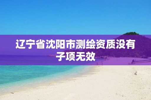 辽宁省沈阳市测绘资质没有子项无效