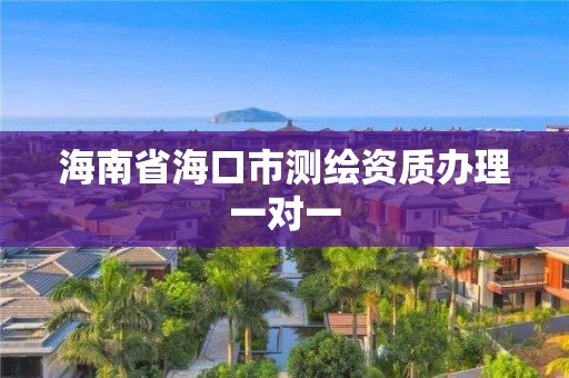 海南省海口市测绘资质办理一对一