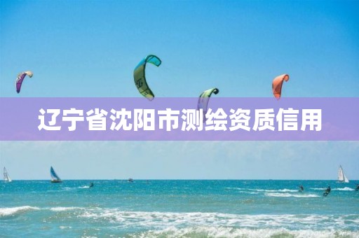 辽宁省沈阳市测绘资质信用