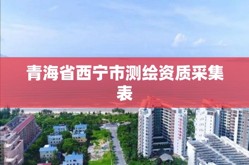 青海省西宁市测绘资质采集表