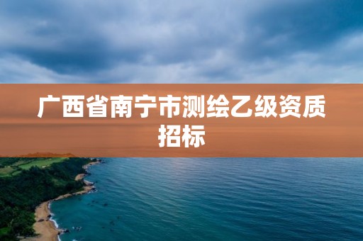 广西省南宁市测绘乙级资质招标