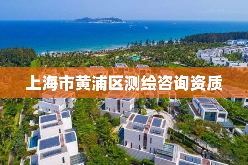 上海市黄浦区测绘咨询资质