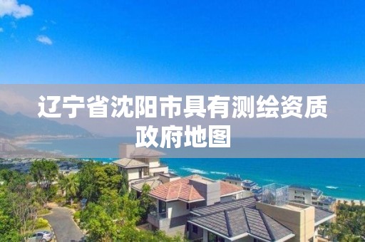 辽宁省沈阳市具有测绘资质政府地图