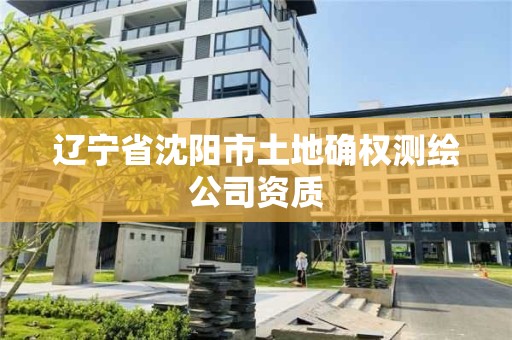 辽宁省沈阳市土地确权测绘公司资质