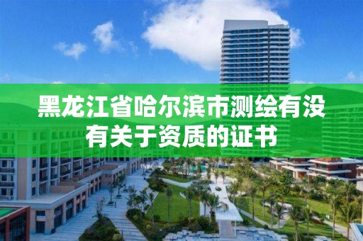 黑龙江省哈尔滨市测绘有没有关于资质的证书