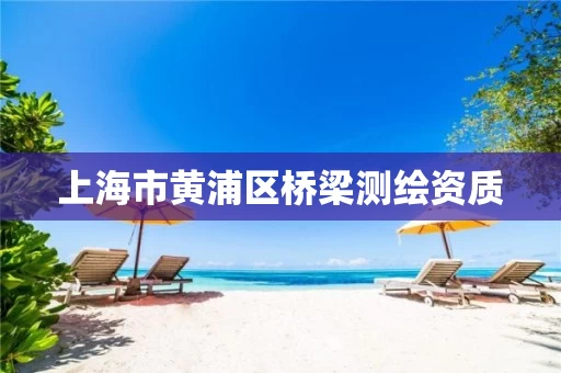 上海市黄浦区桥梁测绘资质 上海市黄浦区桥梁测绘资质