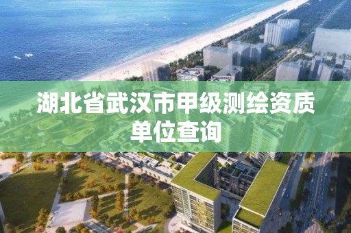 湖北省武汉市甲级测绘资质单位查询