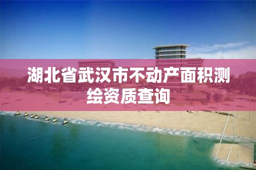 湖北省武汉市不动产面积测绘资质查询