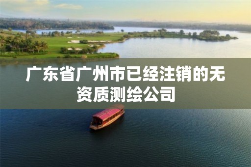 广东省广州市已经注销的无资质测绘公司