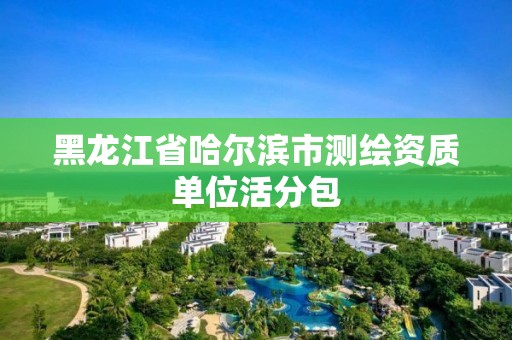 黑龙江省哈尔滨市测绘资质单位活分包