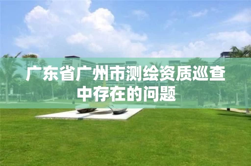 广东省广州市测绘资质巡查中存在的问题 广东省广州市测绘资质巡查中存在的问题