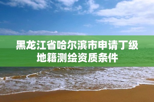 黑龙江省哈尔滨市申请丁级地籍测绘资质条件