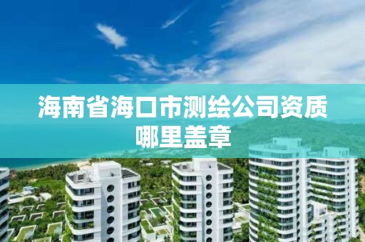 海南省海口市测绘公司资质哪里盖章