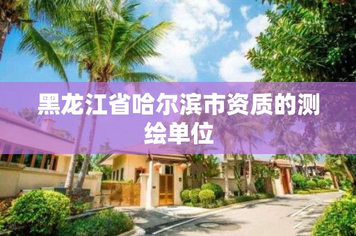 黑龙江省哈尔滨市资质的测绘单位