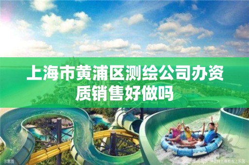 上海市黄浦区测绘公司办资质销售好做吗