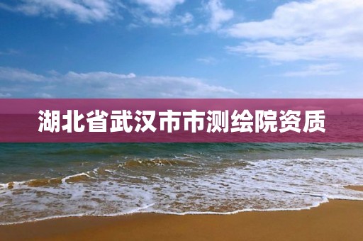 湖北省武汉市市测绘院资质