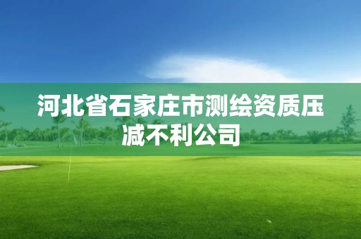 河北省石家庄市测绘资质压减不利公司