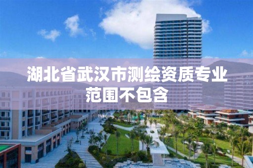 湖北省武汉市测绘资质专业范围不包含