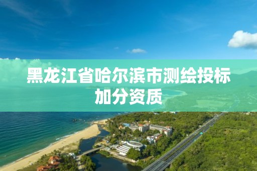 黑龙江省哈尔滨市测绘投标加分资质